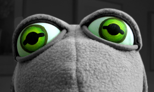 Fin the Frog